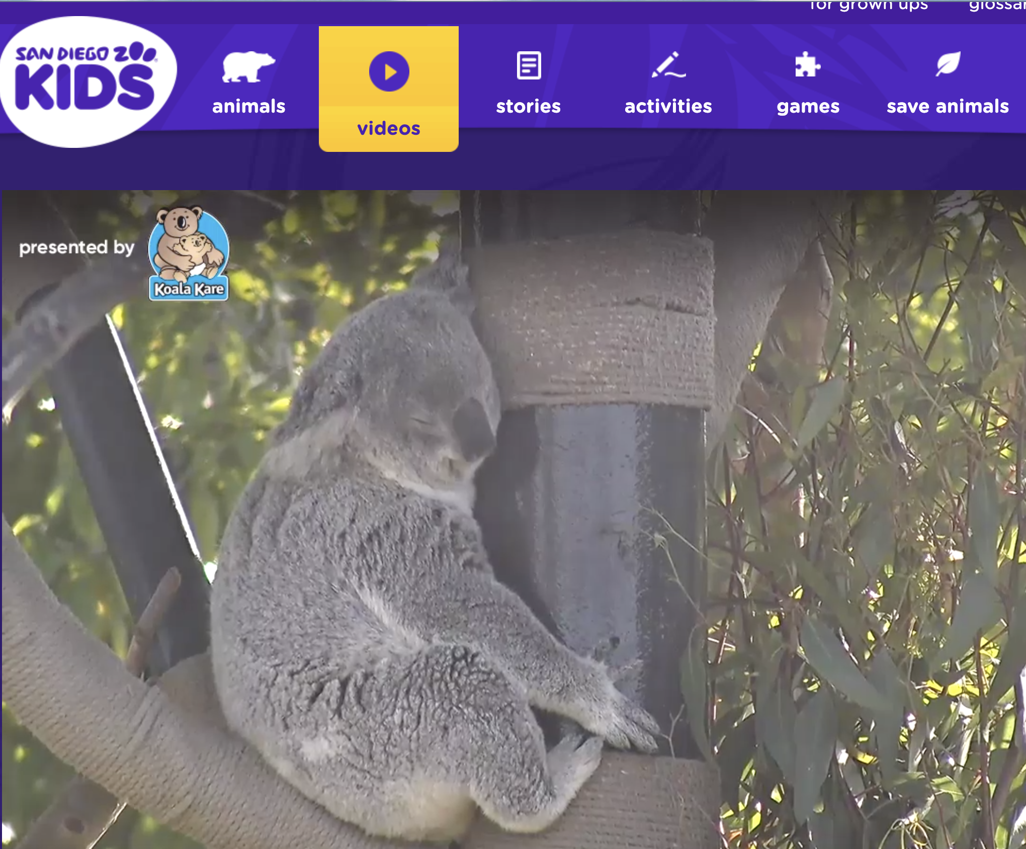 Koala screenshot